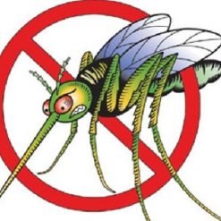 Illustration of an angry cartoon mosquito with a bold red 