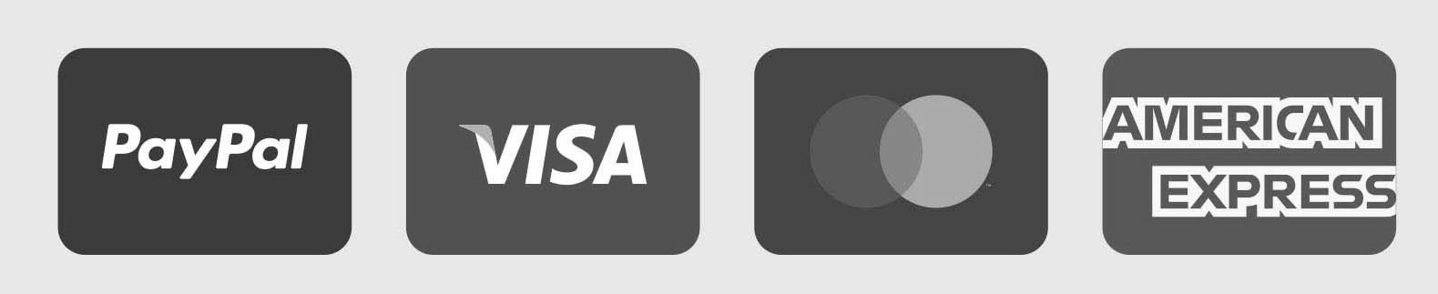 Gray icons of payment methods: PayPal, Visa, Mastercard, and American Express, each in individual square frames on a light gray background.